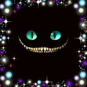 Meet your Posher, Lee